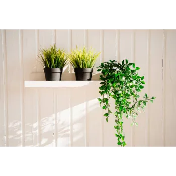 Artificial Plants